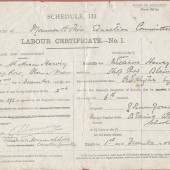 School Labour Certificate
