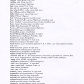 Kelly's Directory (Blaina), 1901 (part 6 of 7)
