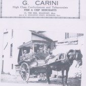 Carini's Ice Cream float