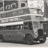 Red and White bus
