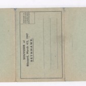 Brynmawr Blizzard Souvenier Postcards