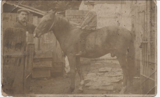 Brynmawr Slaughter House