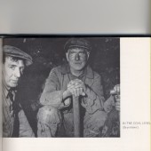 Coal Level