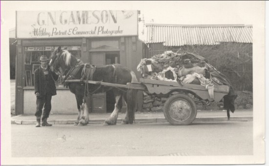 Working Horse and cart