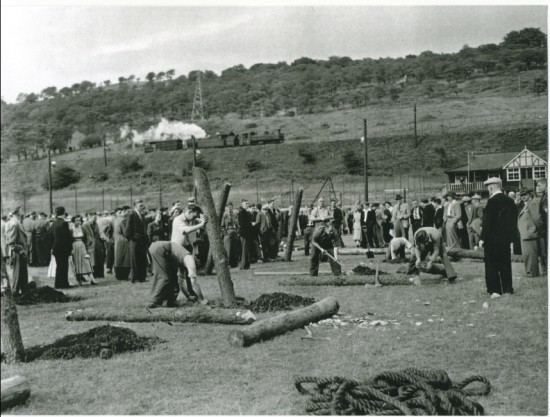 Cwm Carnival