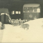 Griffin's Garage, 1947