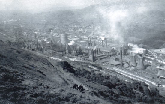 R.T.B. Steelworks view North from The Domen