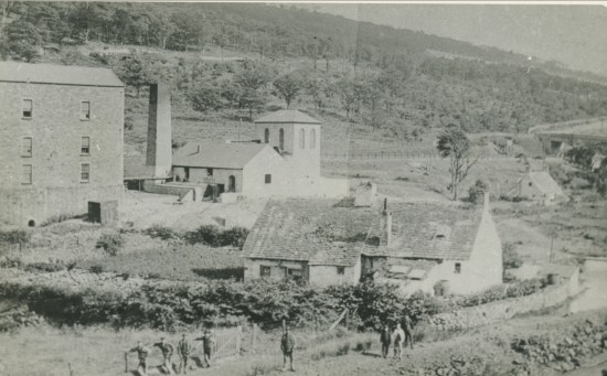 Tyn y Fyd Farm