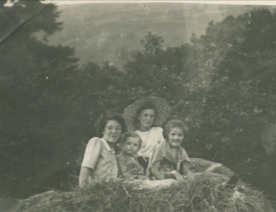 Mills family haymaking, 1953