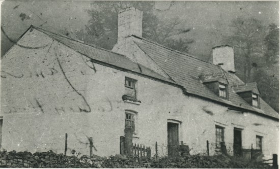 Cwm Merddog Farm