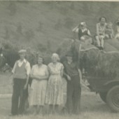 Mills family haymaking, 1953