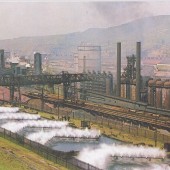 Social History
