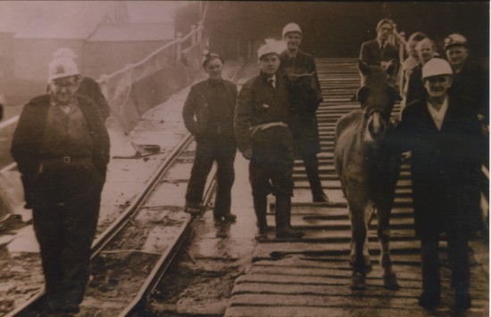 The last pit pony being led out from The Marine Colliery by Jack (Gaffer) Lewis 
