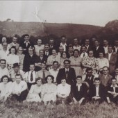 The 1950s
