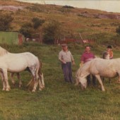 The Waterwheel,Waunlwyd