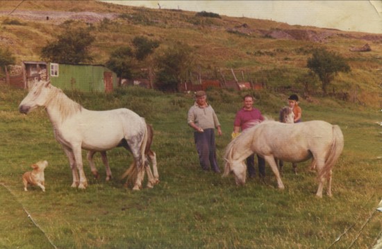 The Waterwheel,Waunlwyd