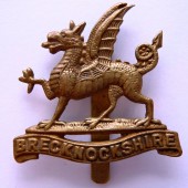 Badge of the Brecknockshire Territorials