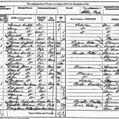 1871 census