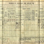 1911 census