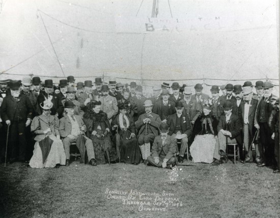 Bedwelty Show