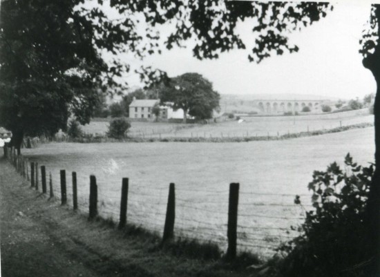 Dukes Meadow before the houses were builtRobins Farm with Nine Arches in the back ground Dukes Meadow before the houses were builtRobins Farm with Nine Arches in the back ground