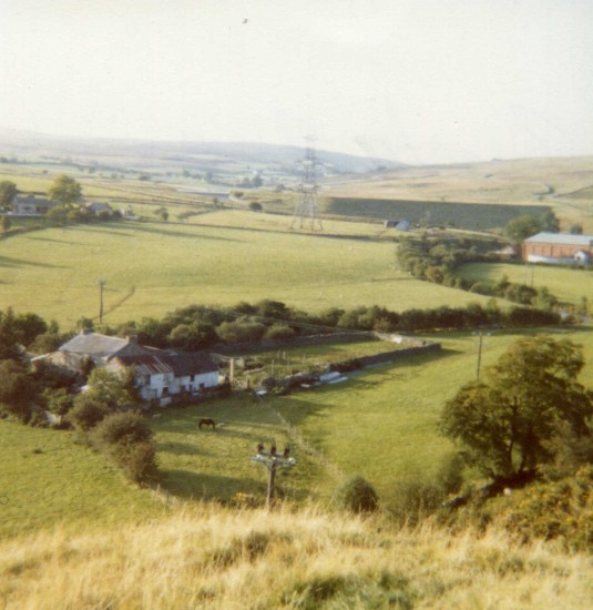 Bractie Farm  