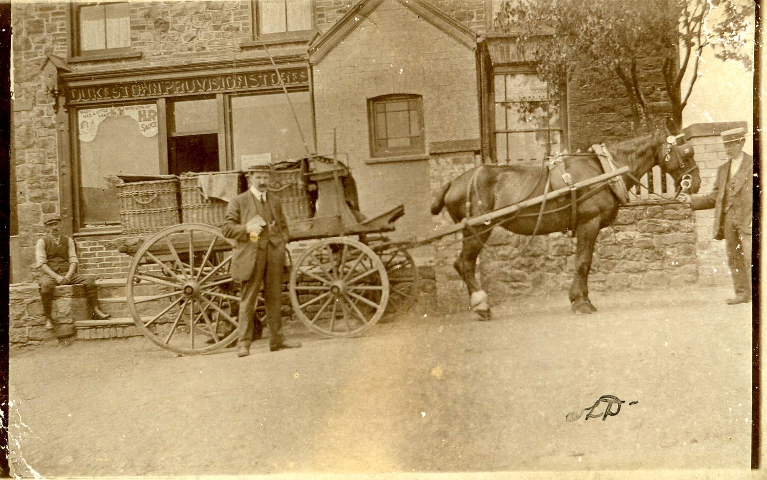 Dukestown Provsion Stores Tredegar Shops, Animal, Male, Formal