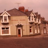 The Bush Tredegar