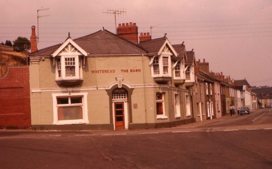 The Bush Tredegar